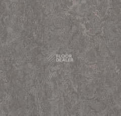 Линолеум Forbo Marmoleum Decibel on Order 313735 slate grey фото 1 | FLOORDEALER